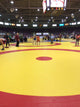 Wrestling Mats