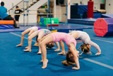 Hatashita Cheerleading/Gymnastic Mats